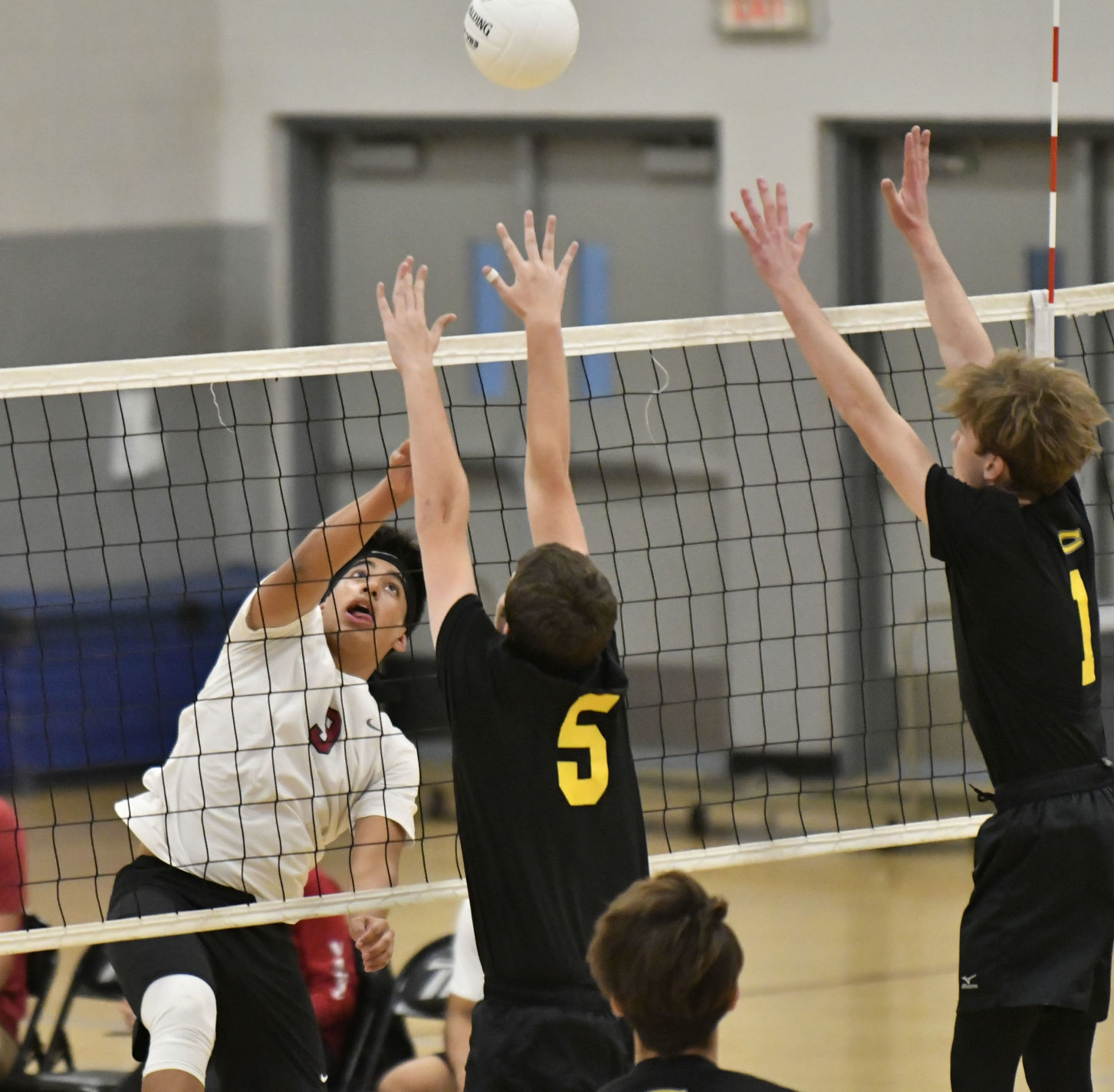 031318 CHS NHS volleyball 10.jpg